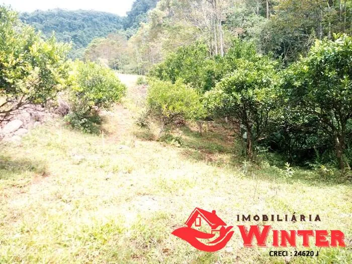 Imagem Chácara de 12,5 hectares em Bom Princípio.