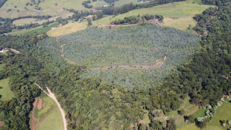 Imagem Terreno para Venda em Jaborá, Interior