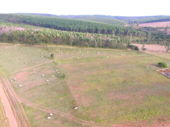 Imagem Itirapina/SP, Sitio 19 alqueires ideal para pecuária