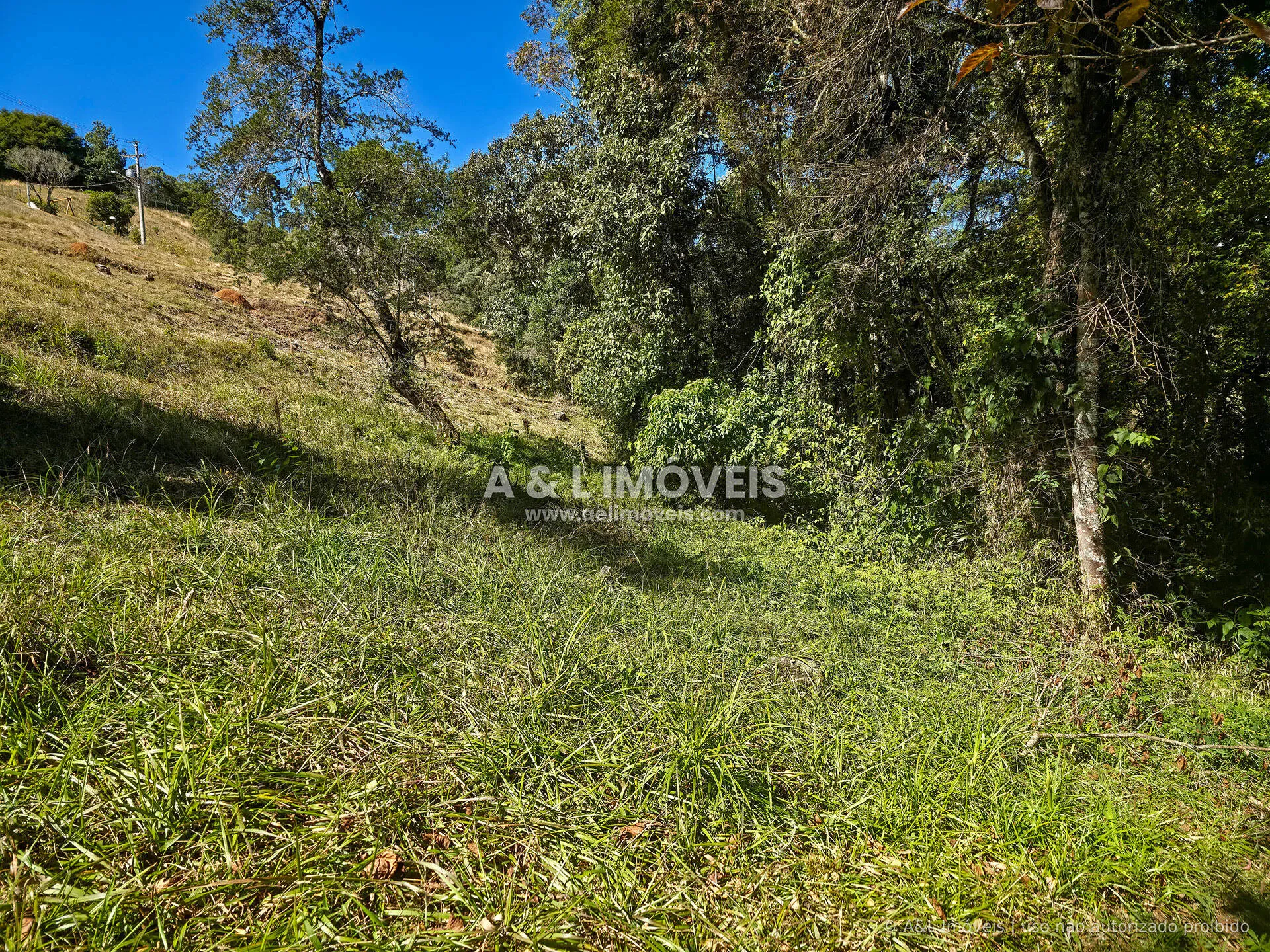 Imagem Lote à venda no Reserva Figueiredo | Campos do Jordão
