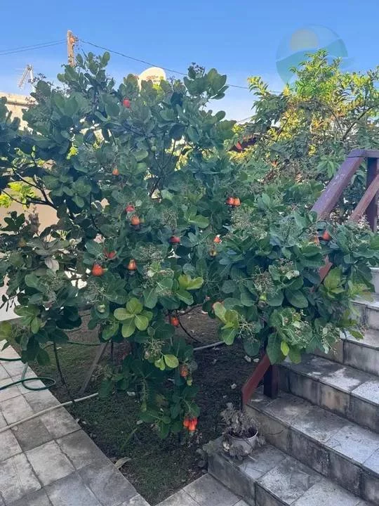 Imagem Casa t?(C)rrea com 3 quartos, para venda, Barra Jangada, Jaboatão dos Guararapes, Pernambuco.