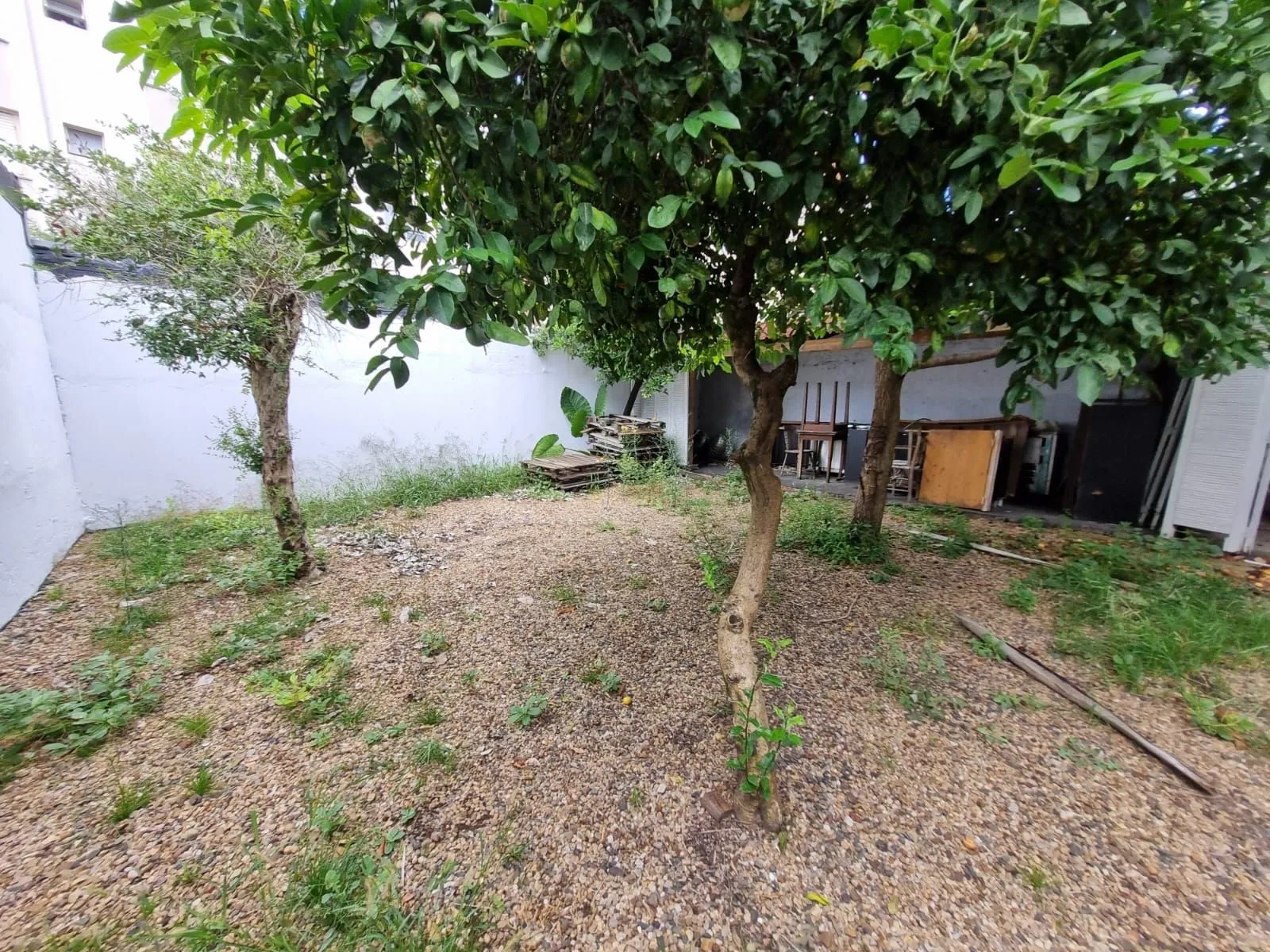 Imagem Casa Comercial para Venda Santana