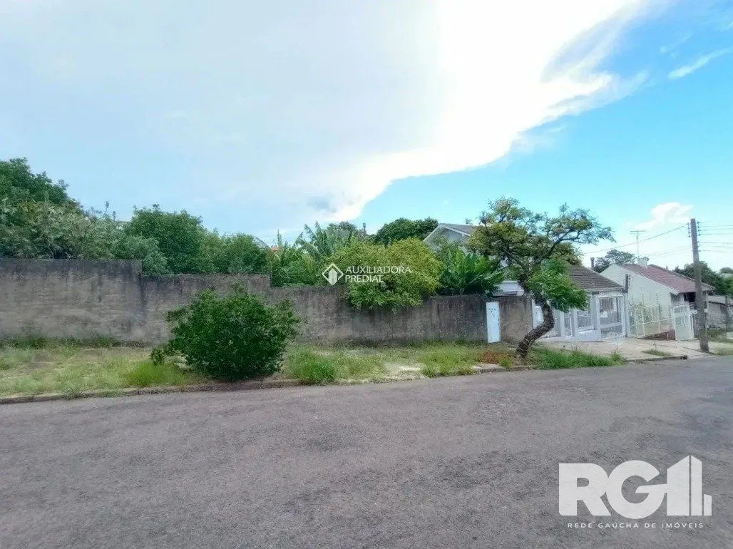 Imagem Terreno em Vila Ipiranga