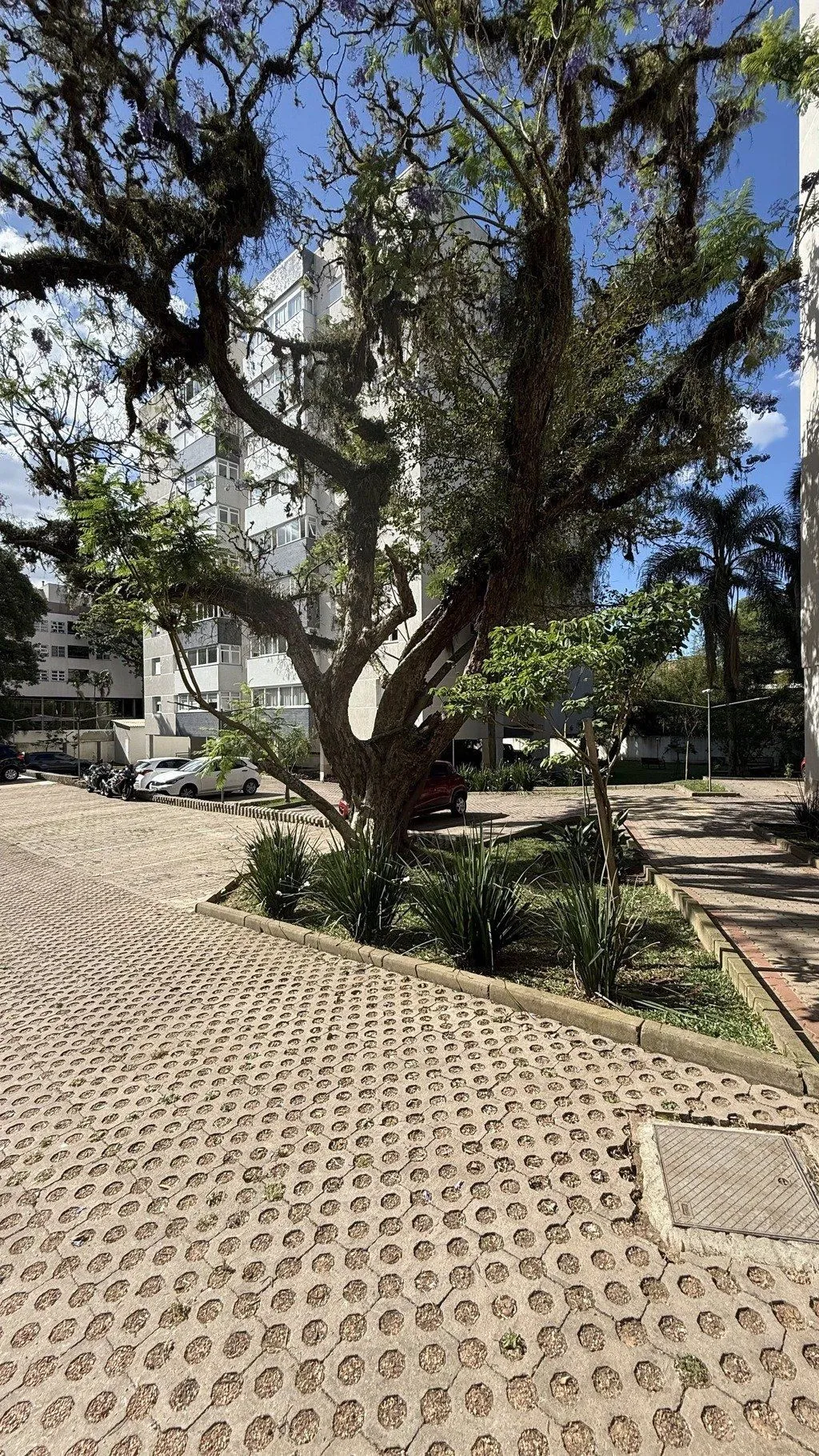 Imagem Apartamento em Teresópolis