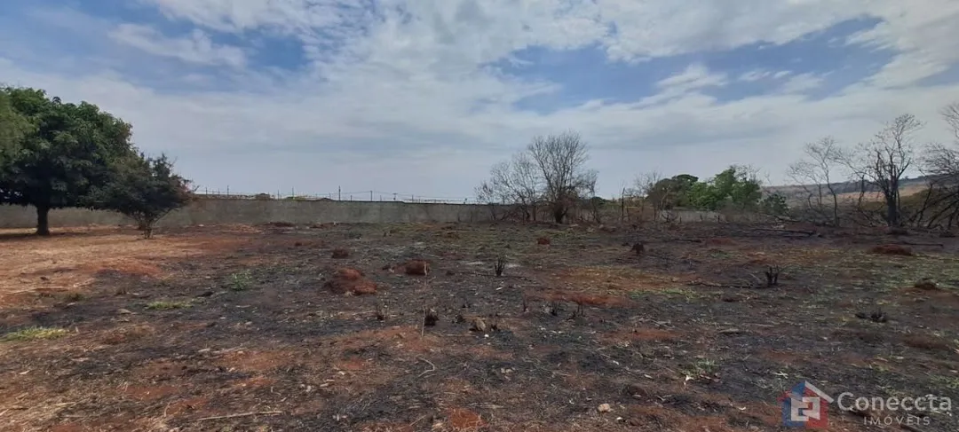Imagem Terreno Residencial à venda, Alto dos Caiçaras, Patos de Minas - TE0084.