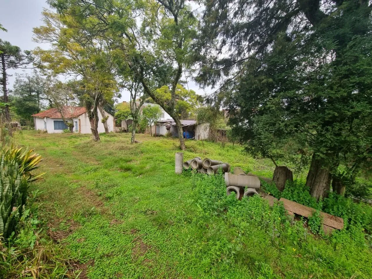 Imagem Terreno para Venda - 4.452m Bairro Jardim Isabel
