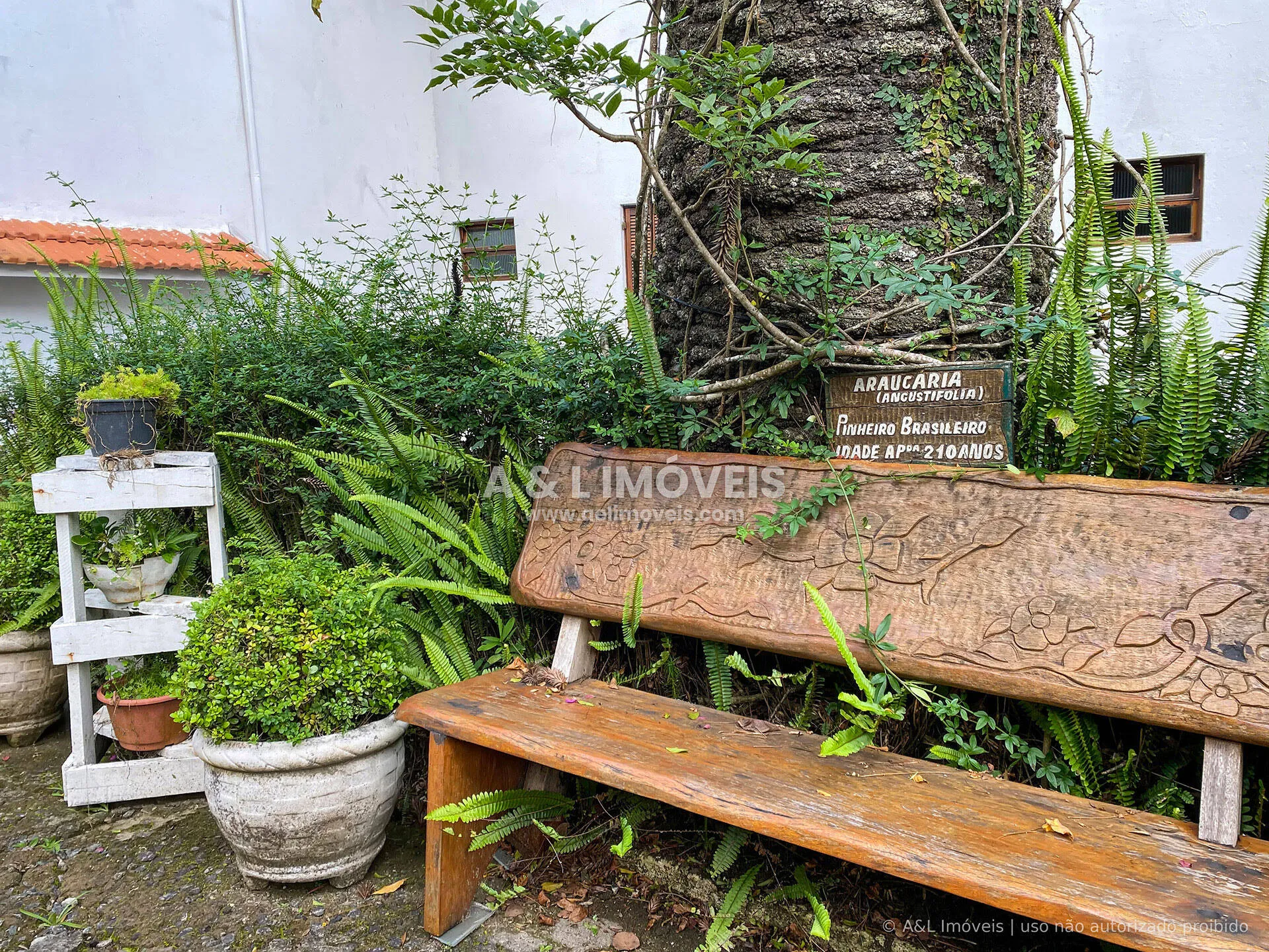 Imagem Apartamento Campos do Jordão | Térreo, Jardim, 3 Dorms. e Lareira