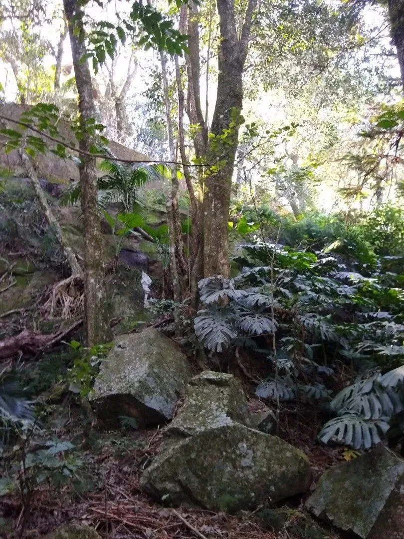 Imagem Terreno em Cascata