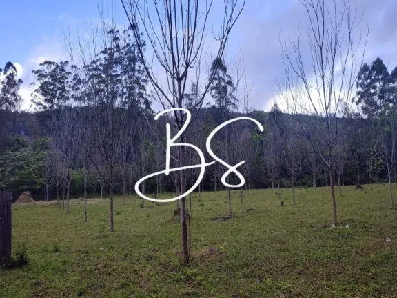 Imagem AREA RURAL em IGREJINHA - RS, Solitária