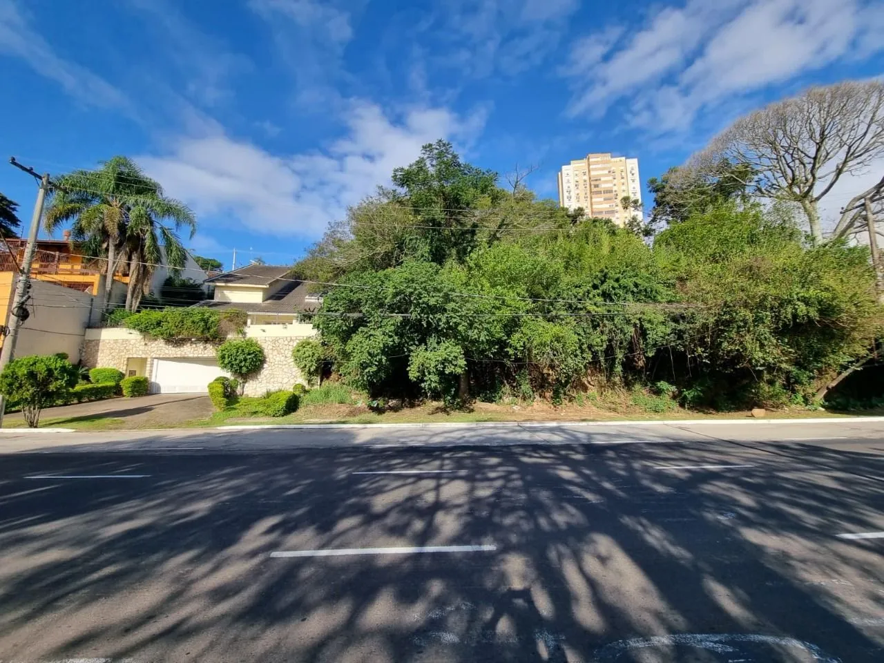 Imagem Terreno na av pinheiro borda com vista com 564n²