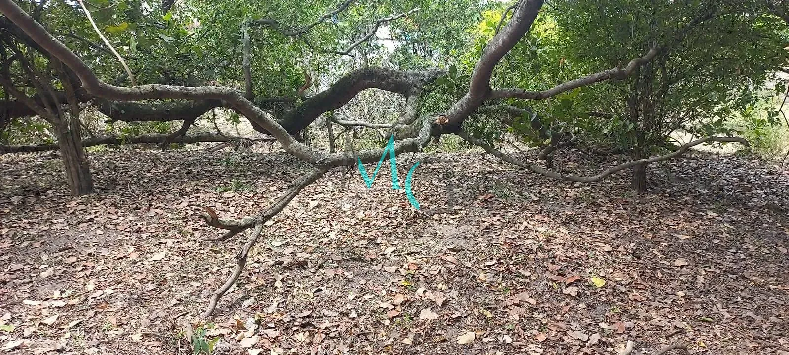 Imagem Terreno 2000m² à venda no bairro Jardim Letícia, em Campo Grande, Rio de Janeiro, RJ