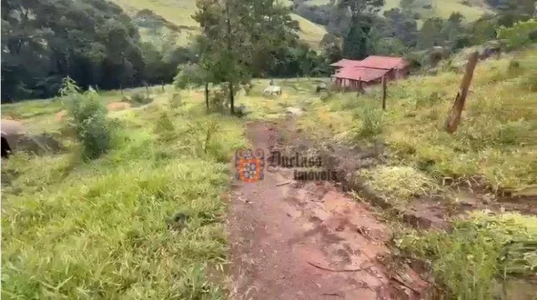 Imagem Sítio à venda, 186000 m² por R$ 599.000,00 - Centro - Pedra Bela/SP