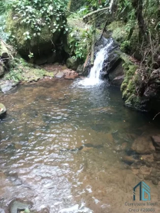 Imagem Área 331.540 mil m², Serra Negra município de Guaraqueçaba - PR (PERMUTA EM CURITIBA PR)