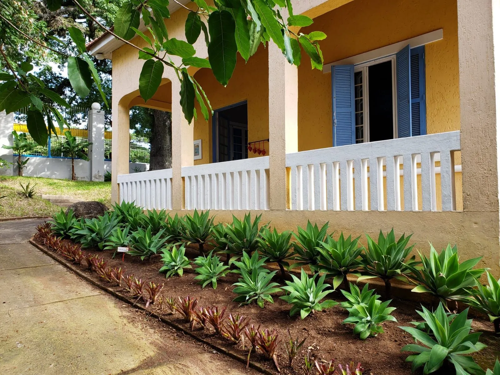 Imagem Casa Centenária no Bairro Belém Velho Residencial/Comercial