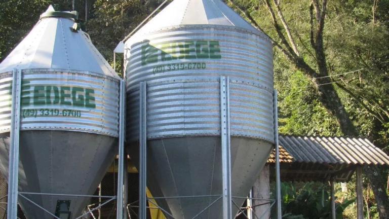Imagem Área Agrícola para Venda em Lindóia do Sul, Linha Mimosa