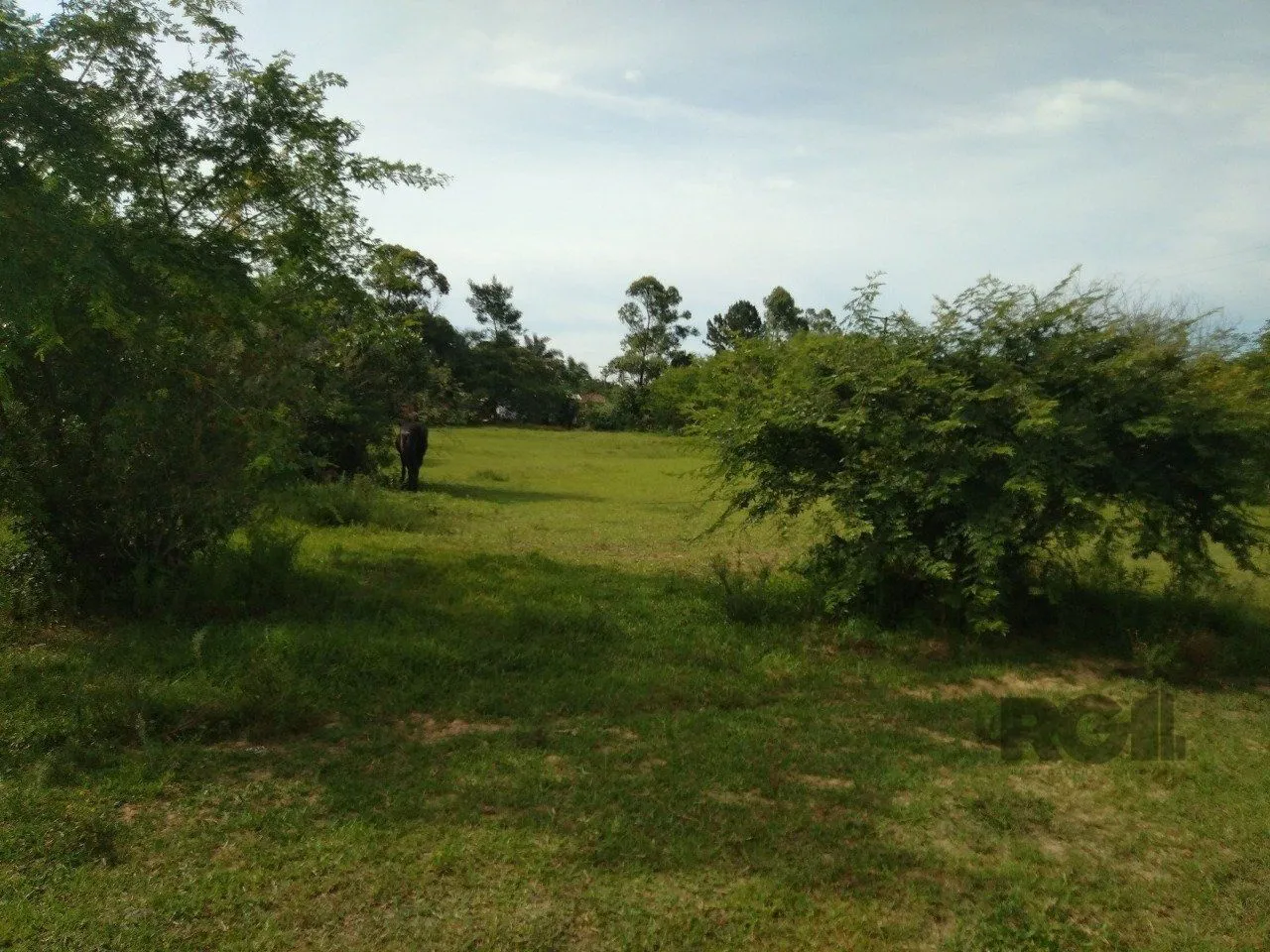 Imagem SITIO EM VIAMAO, RS, A VENDA, NAS PROXIMIDADES COM RS-040 E CONDOMINIO GOUFE II