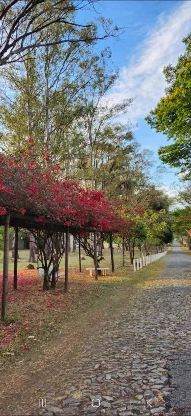 Imagem Oportunidade abaixo do preço - Chacara a venda no Vivendas Santa Mônica II , com 1.000 m²