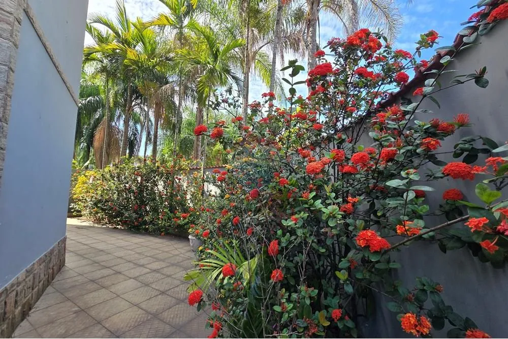 Imagem Casa com 4 quartos Para aluguel em Campo Grande