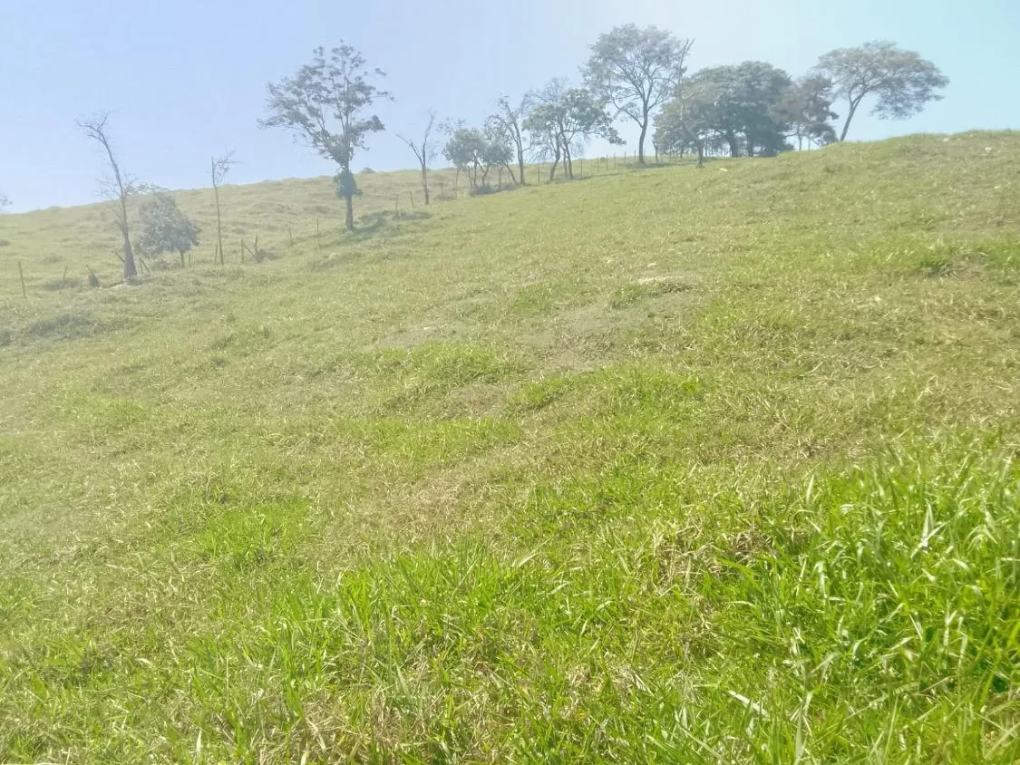 Imagem TERRENO À VENDA EM RIO MANSO/MG | 11,7 HECTARES