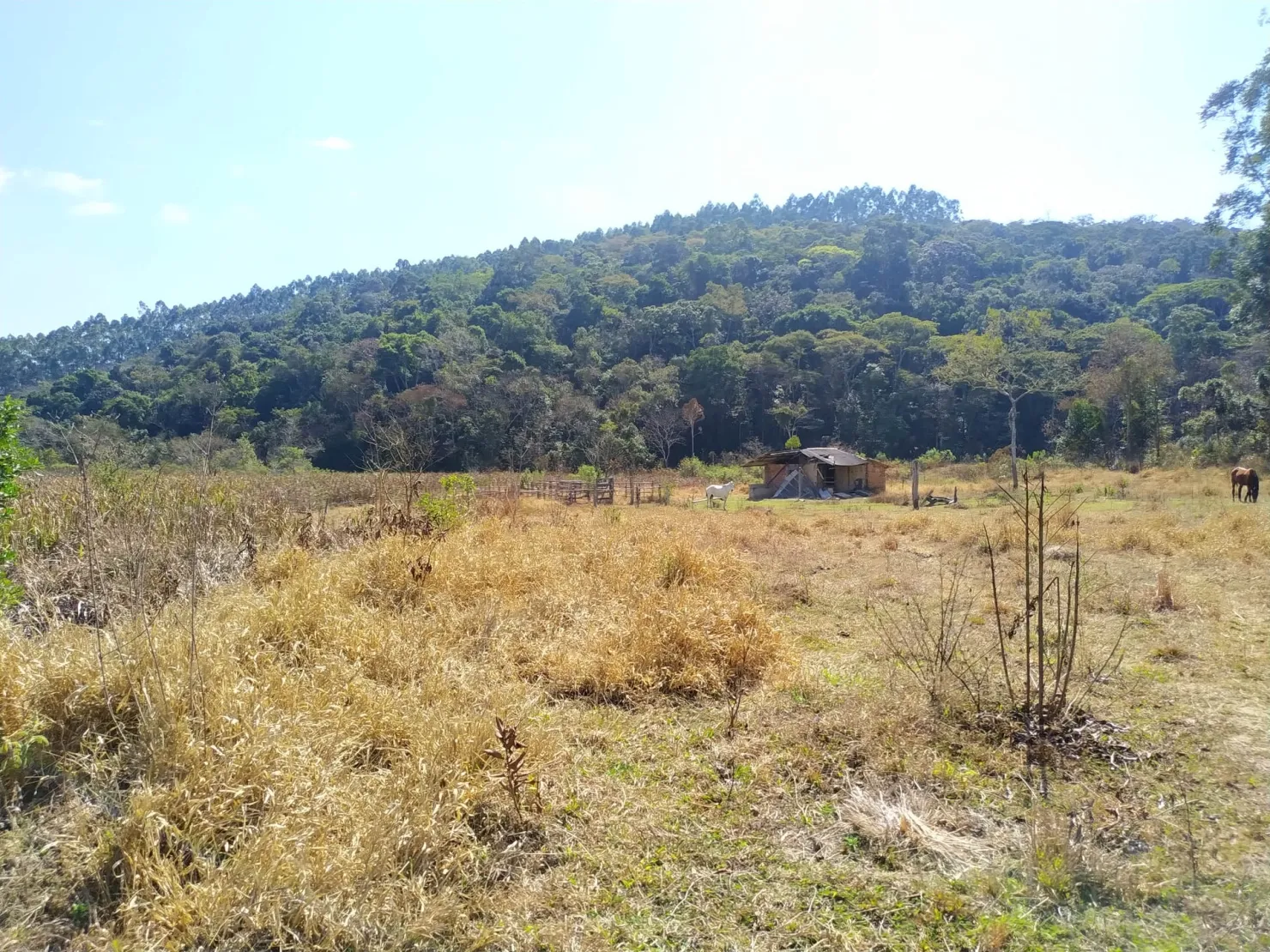 Imagem Chácara à venda 1700000M², Centro, São Luiz do Paraitinga - SP
