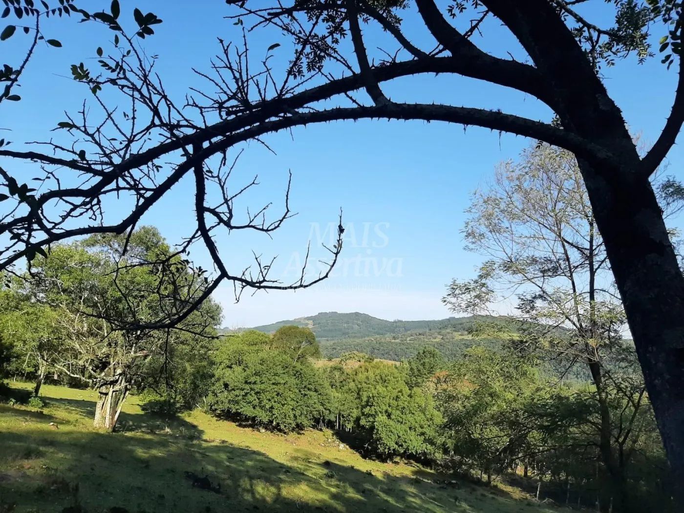 Imagem Área de 10 hectares para venda em São Francisco de Paula