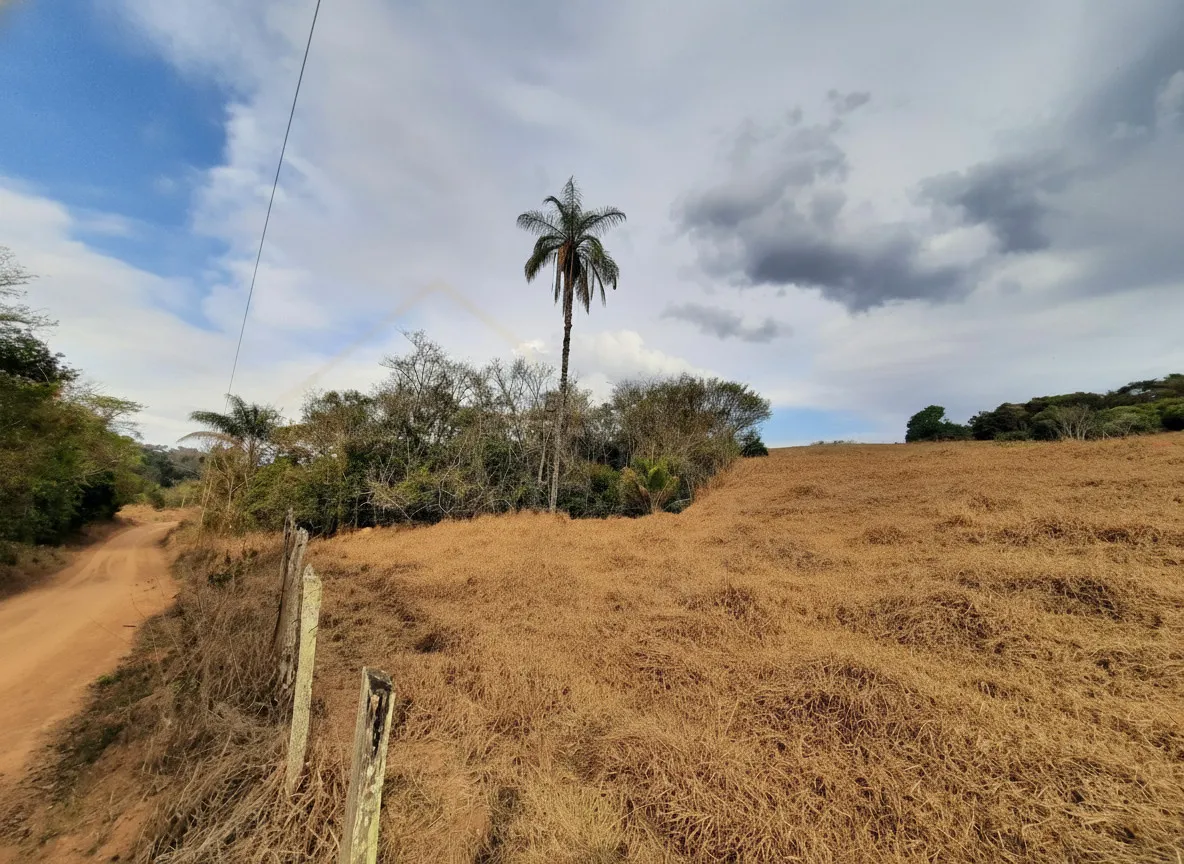 Imagem Gleba 23.800 m² à venda em Correias, Bandeira do Sul