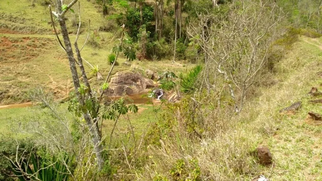Imagem Grande Oportunidade Rural: 89 Alqueires com Expansão para 100.
