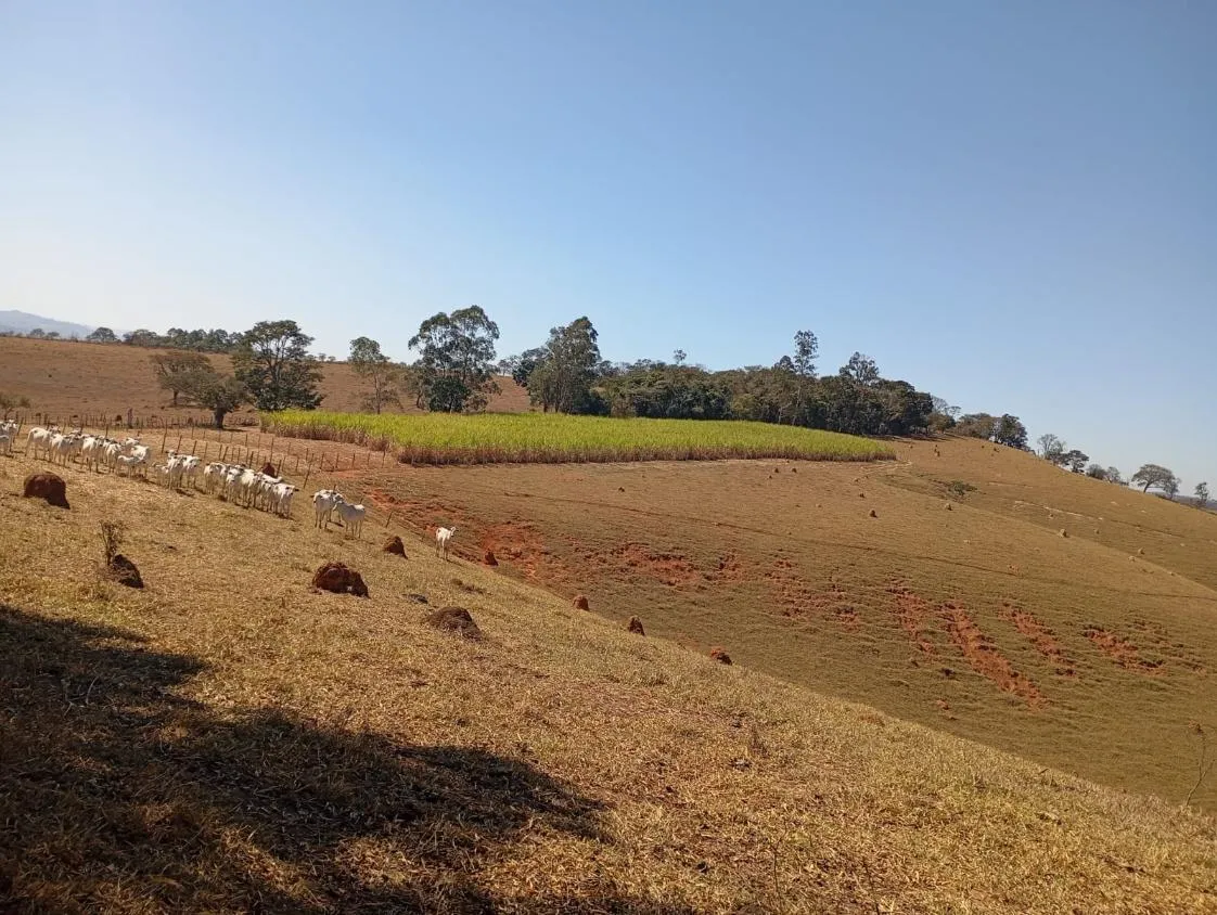 Imagem Vendo excelente sítio/fazendinha em Piedade dos Gerais/MG, com 30 hectares de terra