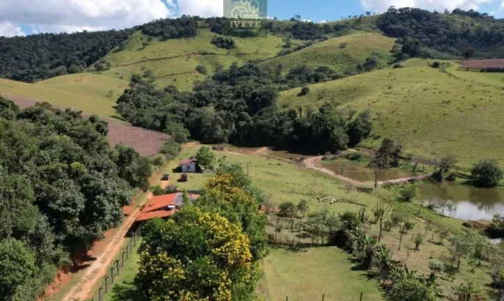 Imagem Chácara de Luxo nos Cardosos - Socorro, SP: Seu Refúgio de Sonho na Natureza