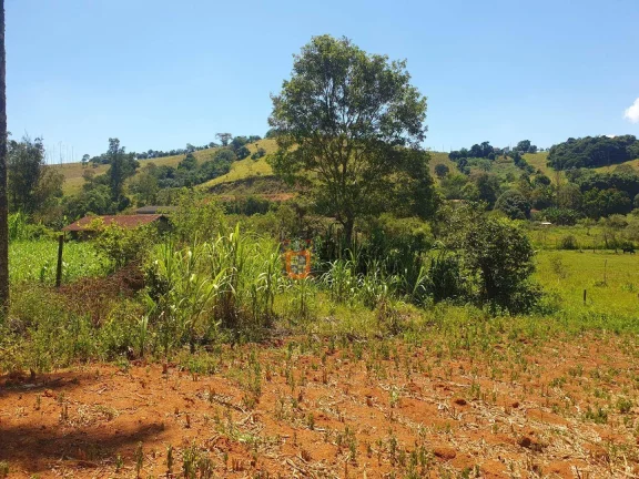Imagem Sítio com 6 dormitórios à venda, 25400 m² por R$ 700.000 - Zona Rural - Cambuí/MG