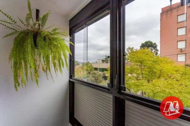 Imagem Cobertura Triplex no coração do Petrópolis – conforto, espaço e vista incrível