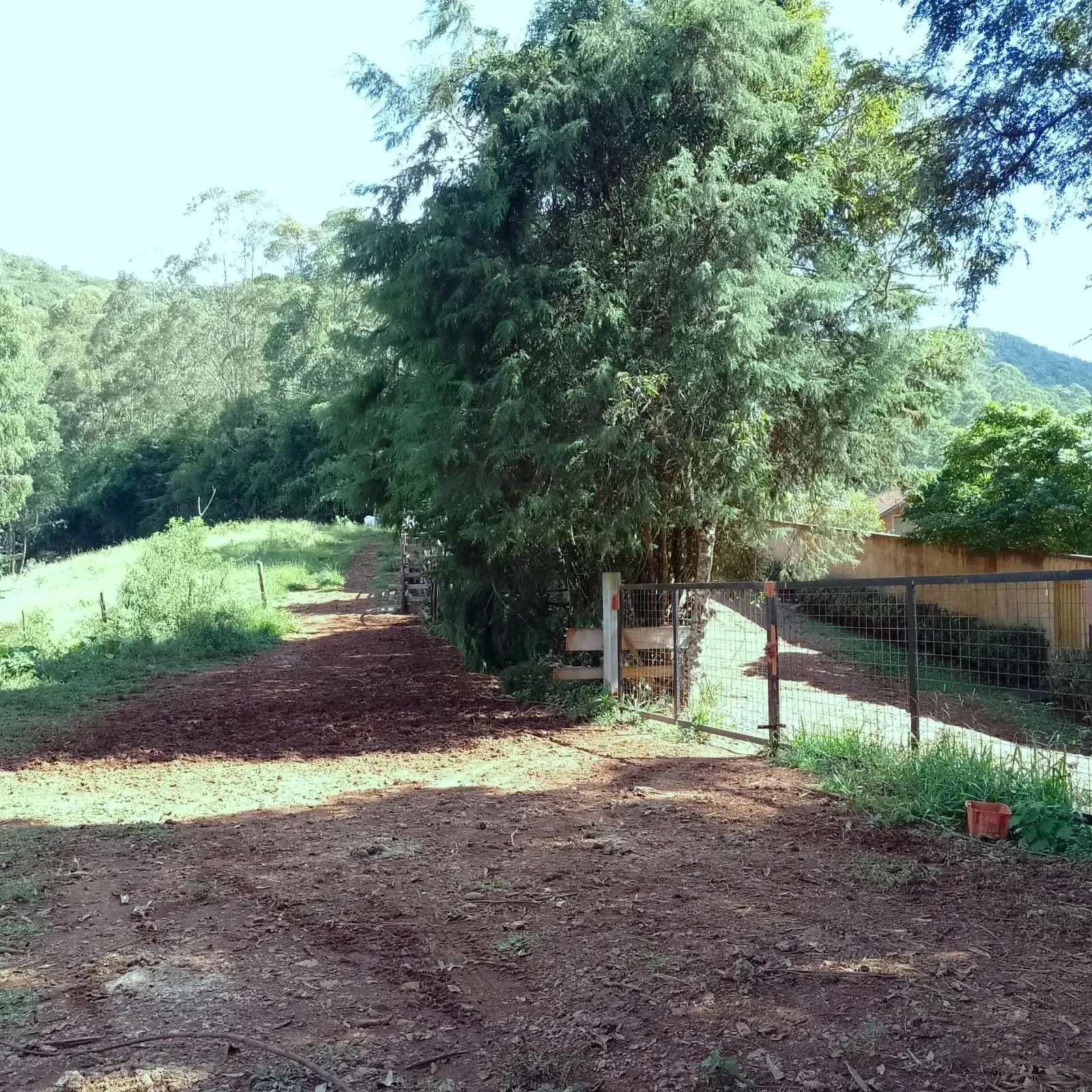Imagem Chácara à Venda, 5.000 m² em zona rural - Poços de Caldas