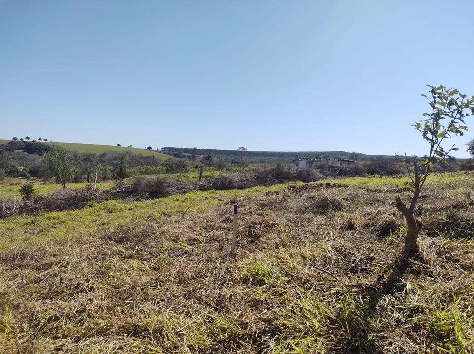 Imagem TERRENO- ARTUR NOGUEIRA/HOLAMBRA