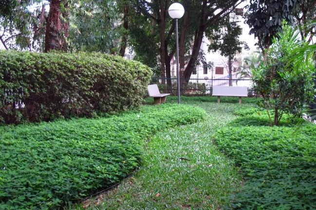 Imagem Apartamento à venda em São Paulo, Jardim Ampliação, com 3 quartos, 125m2