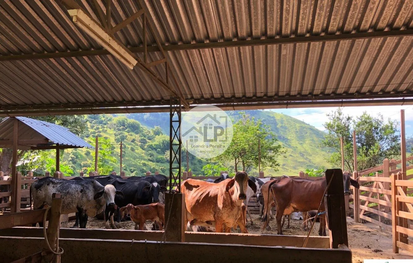 Imagem Fazenda/Sítios/Chácaras de 480000m² no bairro Carmo, em Carmo
