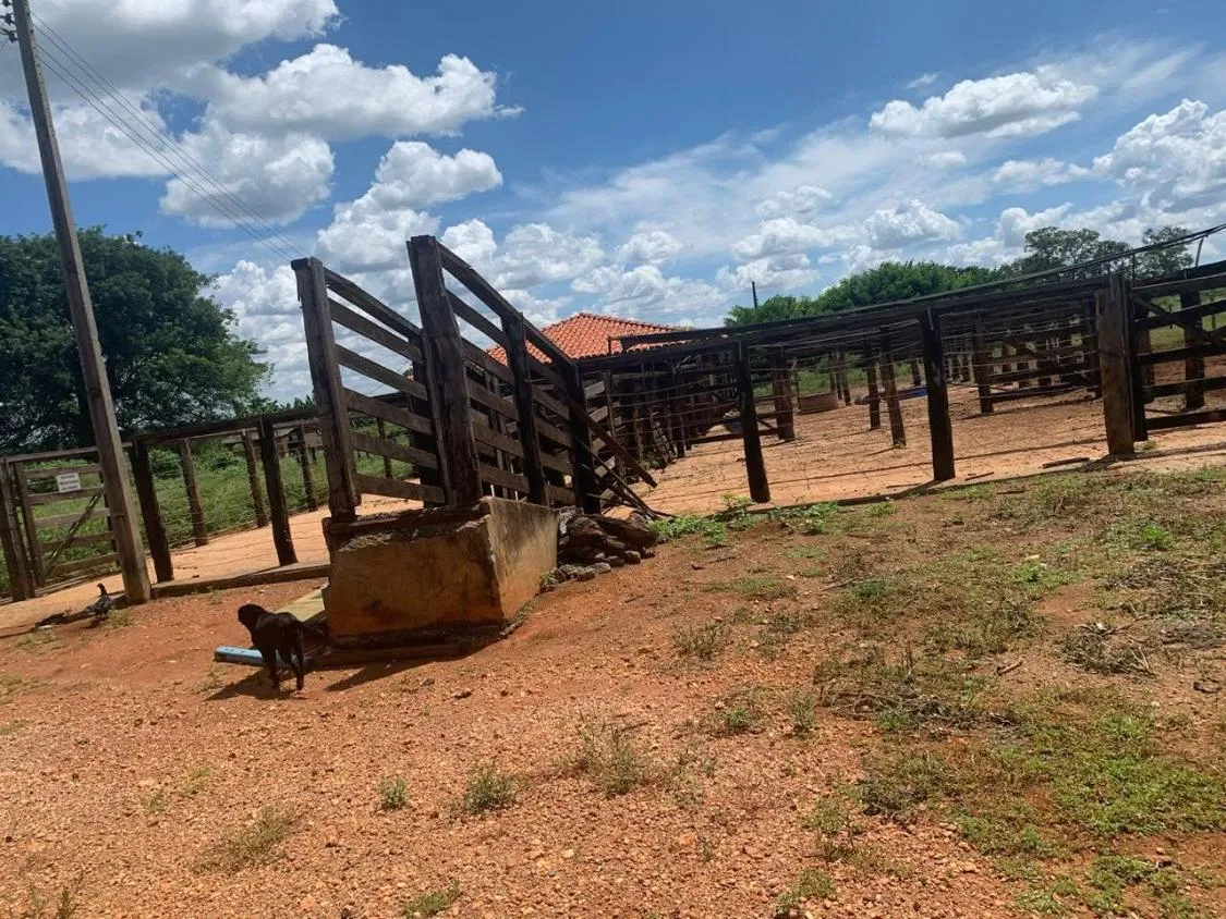 Imagem FAZENDA a venda 95ha em CURVELO/MG
