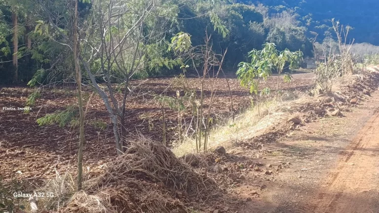 Imagem Área Agrícola para Venda em Concórdia, Interior