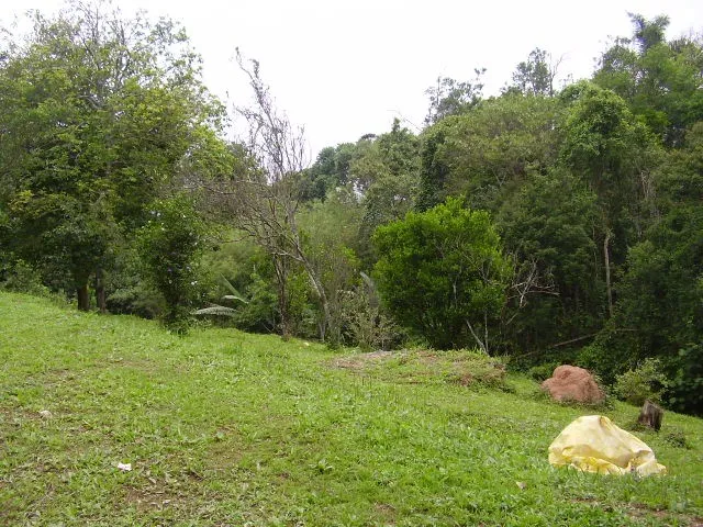Imagem Terreno à venda em Suzano - SP, Chácara à venda em Suzano - SP