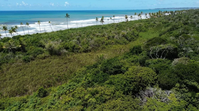Imagem FAZENDA BEIRA MAR E MATA ATLANTICA