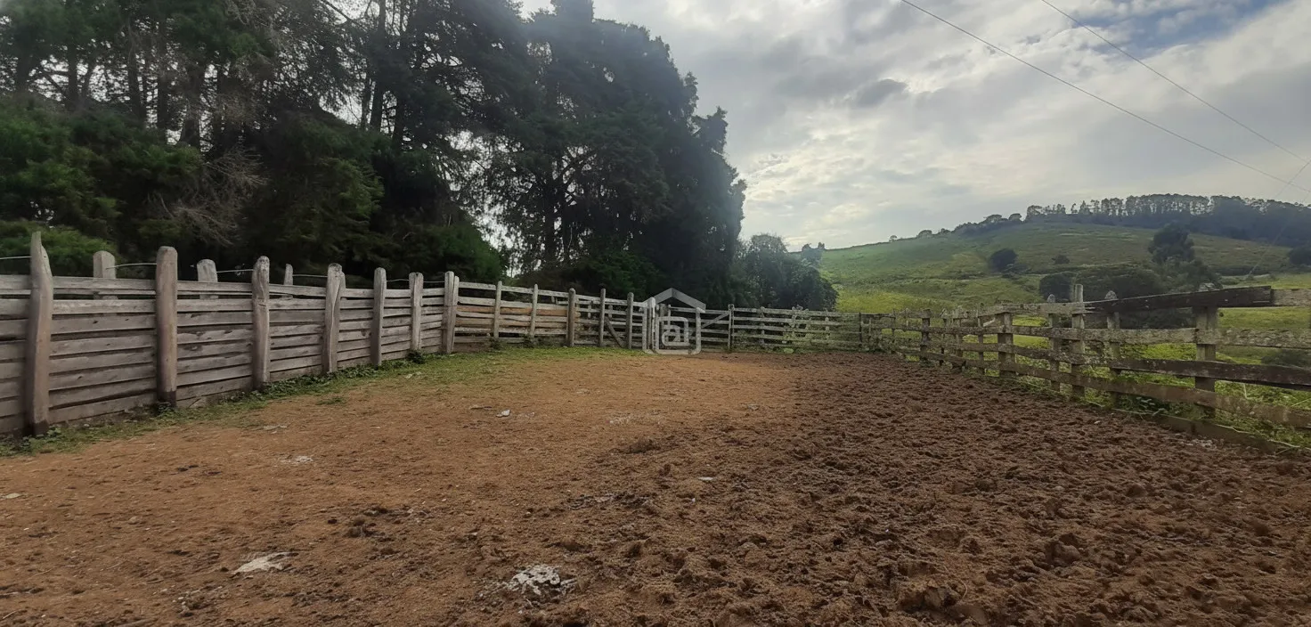 Imagem Fazenda 338,8 ha à venda em Itacolomi, Ipuiúna