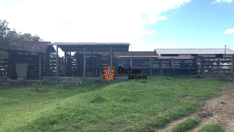 Imagem Fazenda à venda, 52 alqueires por R$ 9.100.000 - Estrada de São Vicente - Araruama/RJ