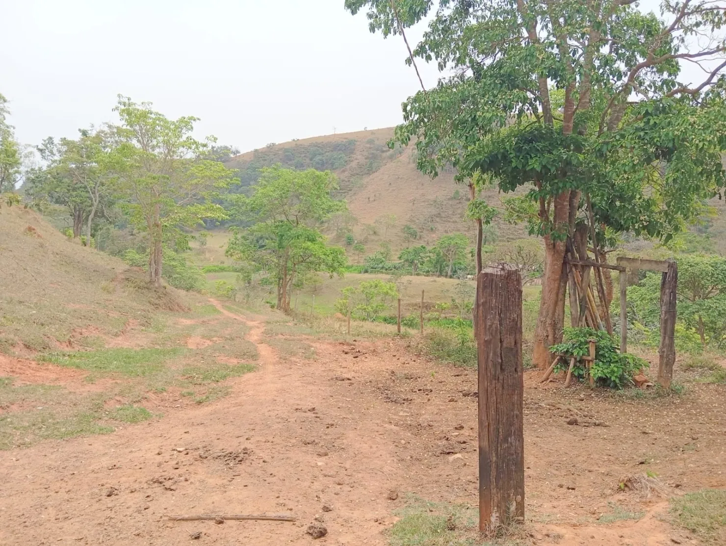 Imagem Fazenda proxima a Dutra paraa venda, , Roseira Velha, SP