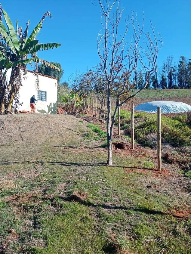Imagem Chácara à venda em Bonfim/MG |com 1.000 m² de área