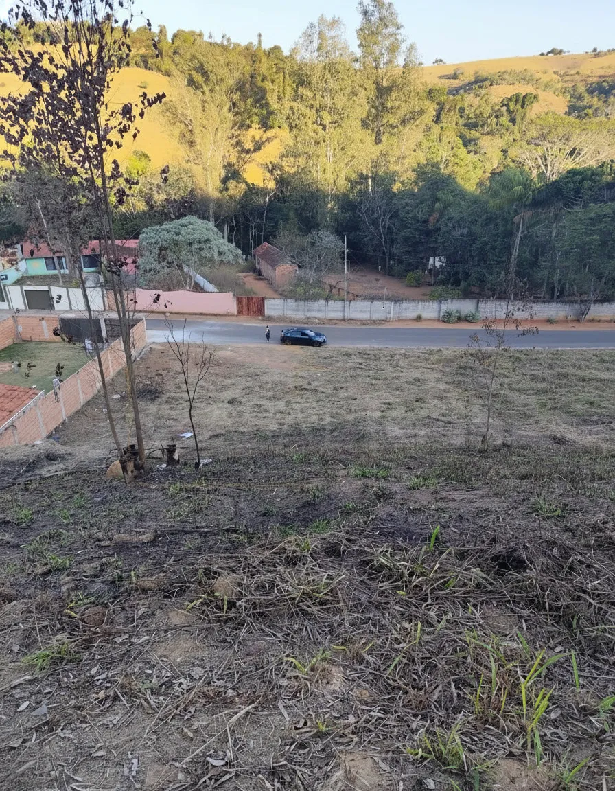 Imagem Chácara 664 m² à venda em São Miguel (João Carlos), Bandeira do Sul