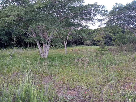 Imagem INVESTIDORES !!! - Excelente área de 2 Hectares, em Águas Claras, Viamão