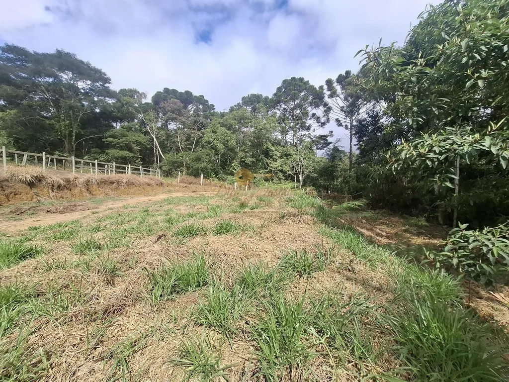 Imagem Terreno para Venda em Teresópolis / RJ no bairro Parque Boa União