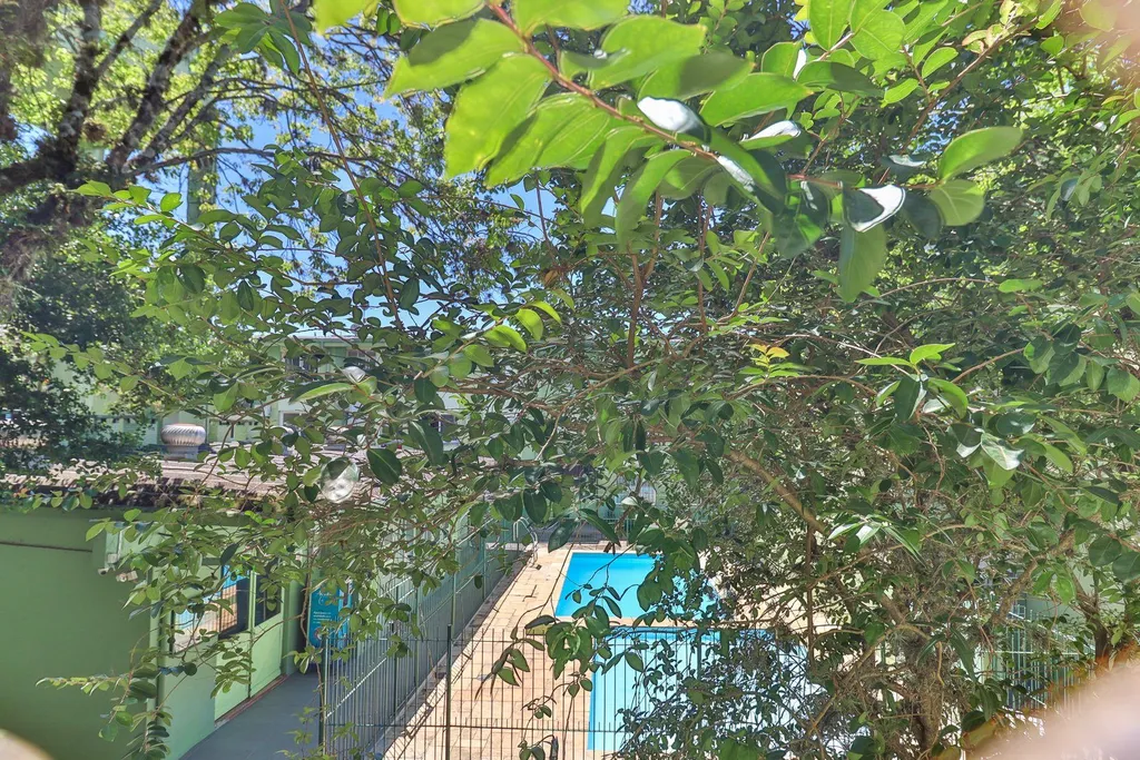 Imagem Apartamento em Camaquã