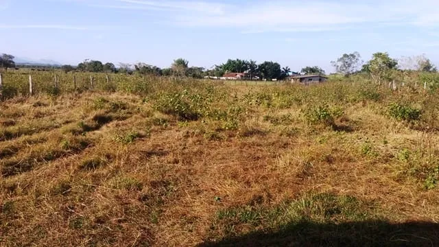 Imagem Chácara à venda 2000M², Cruz Pequena, Pindamonhangaba - SP