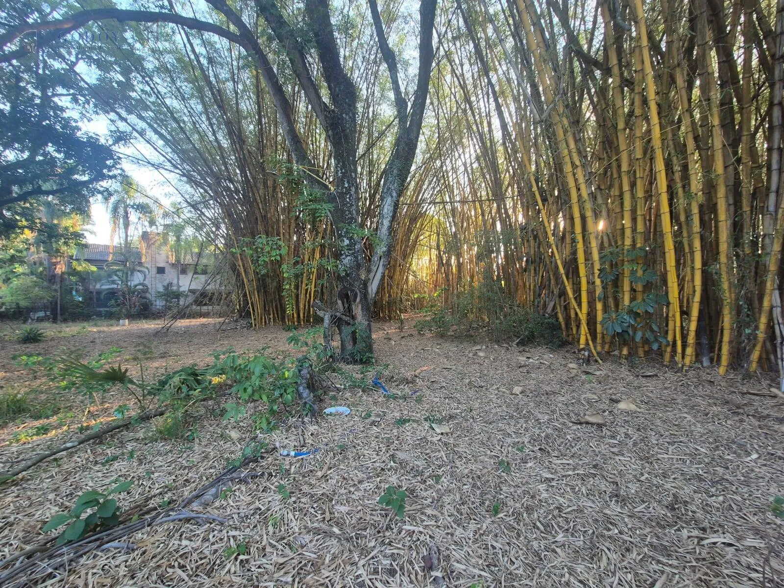 Imagem Oportunidade Única! 10.642m² em Avenida Principal - Ideal p/ Empreendimento