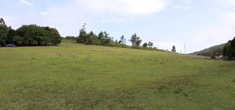 Imagem VISTA PARA A LAGOA!!! Sitio 7,6 Hectares, Piquetes, Casa, Açude, em Itapuã
